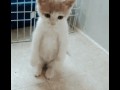 Zaczelo sie