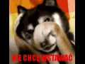 Nie chce wstac