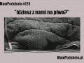 Idziesz z nami na piwo
