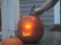 Pumpktris