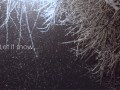 Let it snow