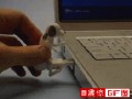 Pendrive