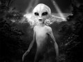 Ufo 3d