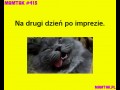 Imprez czas