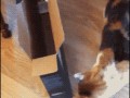 Ooops