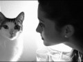 No kiss