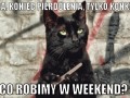 Co robimy się pytam