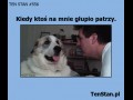 Gdy ktoś głupio patrzy