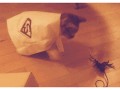 Super spidercat