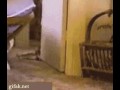 Chodź za mną ludzka szmato