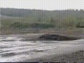 Czołgi są super