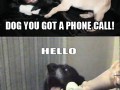 Telefon