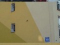 Piwo
