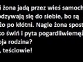 Dowcip   