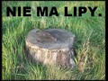 Nie ma lipy