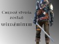 Chędoż studia