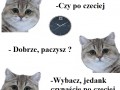 Co ja pacze
