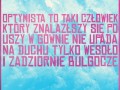 Optymista