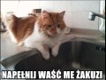 Napełnij waść me dżakuzi