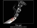 Nie pal