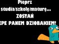 Pepe pan dziobak