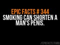 Epicfact