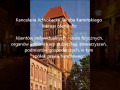 Adwokat Toruń