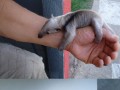 Awwwwwwwwwwwwwwwwwwwwwwwww