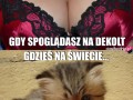 Dekolt