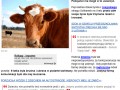 Dziecko umie muczeć