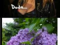 Doda bez majtek
