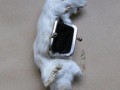 Cute portfelik