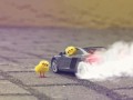 Burnout chicks