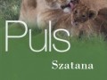 Biologia to zlo