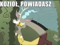 Discord