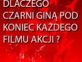 Dlaczego czarni umieraja 