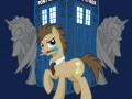 Doctor whooves