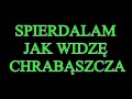Chrabąszczyk