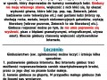 Definicja gimbusa