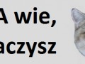 Acta wie że paczysz