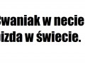 Cwaniak
