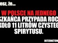 Alkoholicy
