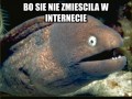 Film o grycankach