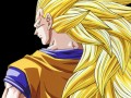 Goku ssj3