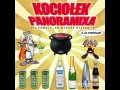 Kocioł panoramixa