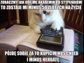 Kot student