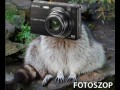 Fotoszop