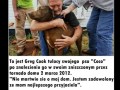 Fghjklcvsbxznklt