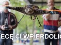 Kot helikopter leci ci wpierdolić