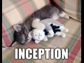 Incepcja